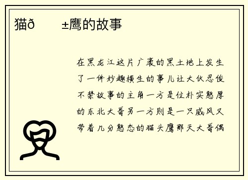 猫🐱鹰的故事